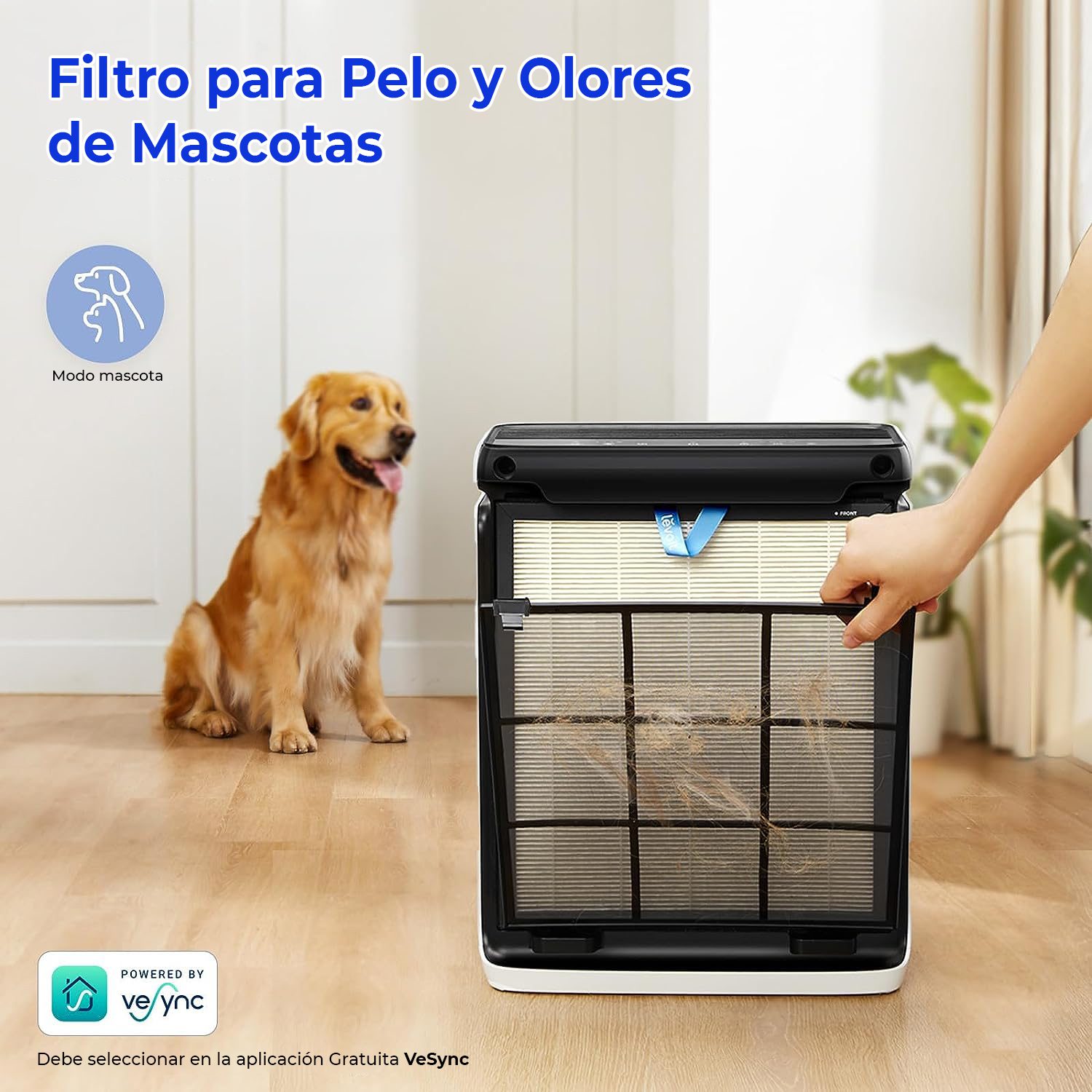 Filtro-mascota.jpg