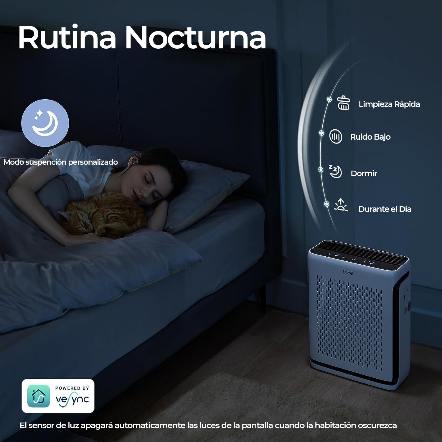 Rutina-Nocturna.jpg